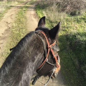 Meet your Posher, Maggie