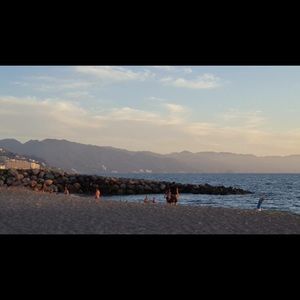 Meet your Posher, Sophie