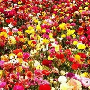 Meet your Posher, Nadia