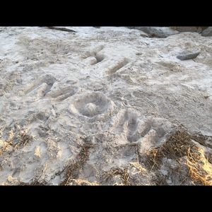 Meet your Posher, Jodi