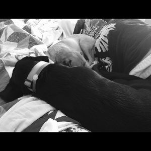 Meet your Posher, Tami