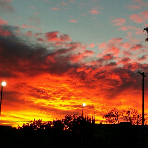 Meet your Posher, Frankie - Picture 3 of 6