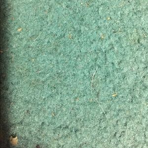 Meet your Posher, Alli