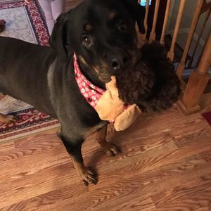 Meet your Posher, Kelly