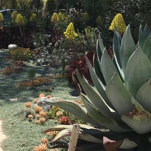 Meet your Posher, Meli