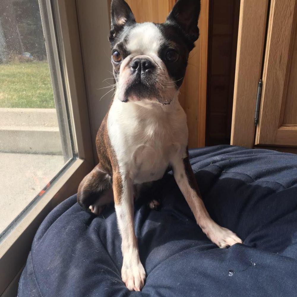 Meet your Posher, Amie