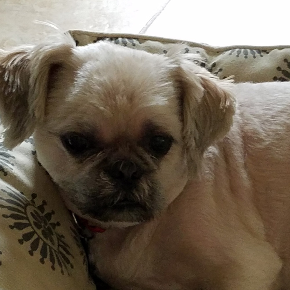 Meet your Posher, Mary