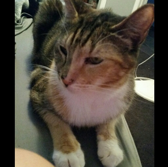 Meet your Posher, Jennifer - Picture 8 of 8