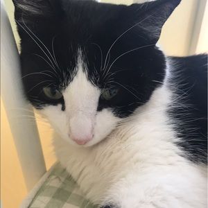 Meet your Posher, Kendall