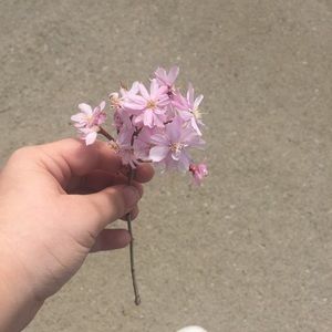 Meet your Posher, Paulina