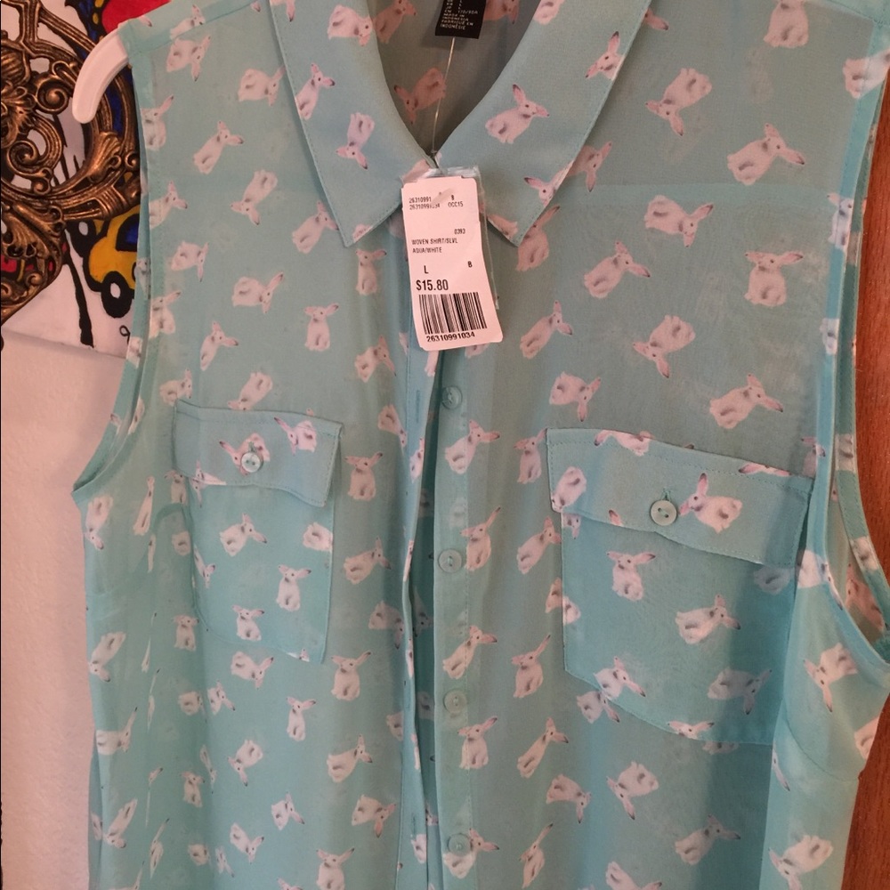 NWT sheer top