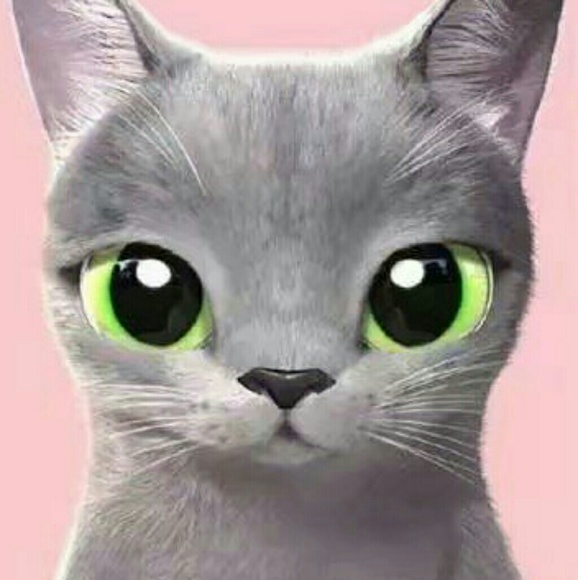 Meet your Posher, Casey - Picture 1 of 1