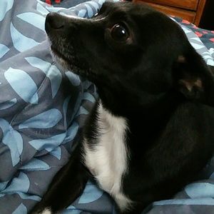 Meet your Posher, Rita