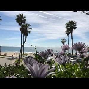 Meet your Posher, Zulema