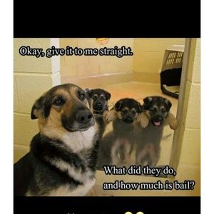 Meet your Posher, Tyler