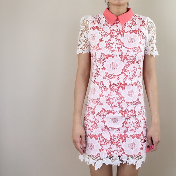 SALE Floral appliqué mini dress with collar. - Picture 3 of 5