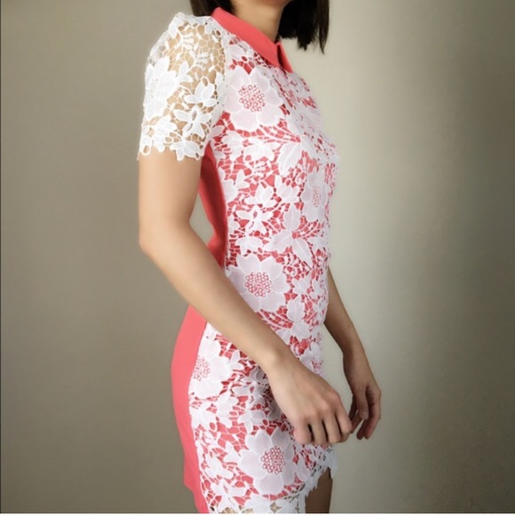SALE Floral appliqué mini dress with collar. - Picture 4 of 5