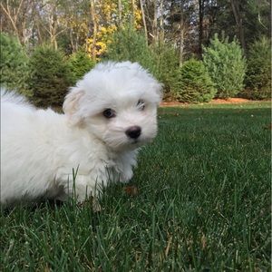 Meet your Posher, Nikki