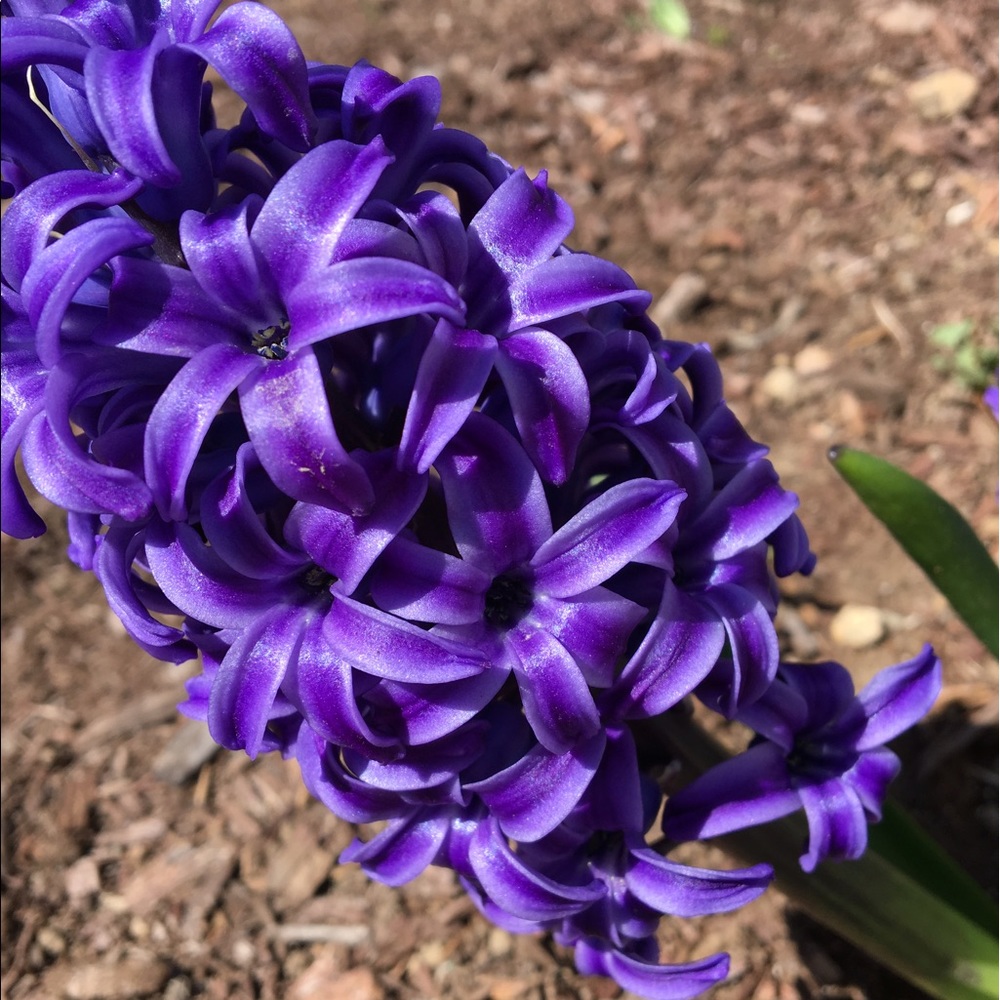 Meet your Posher, Kylie