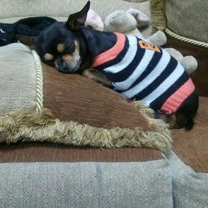 Meet your Posher, Laura