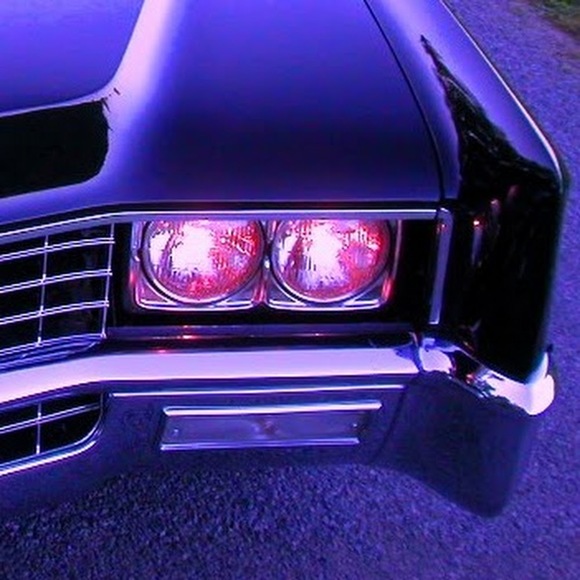 Meet your Posher, Amy - Picture 2 of 2