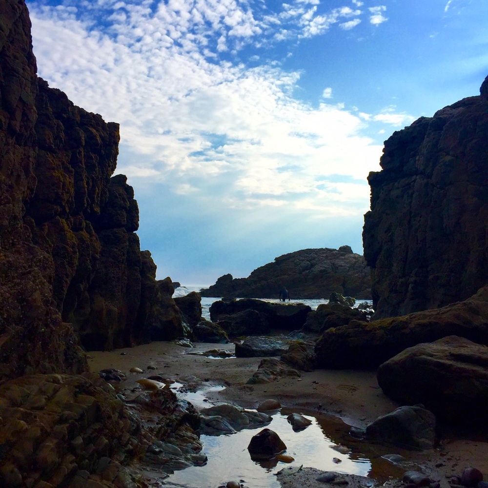 Meet your Posher, Kerri