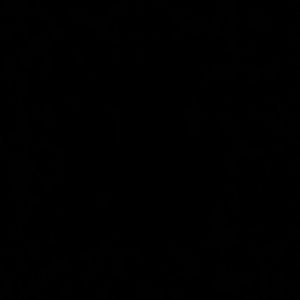 Meet your Posher, Marisa