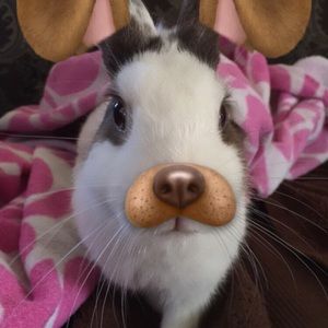 Meet your Posher, Hailey