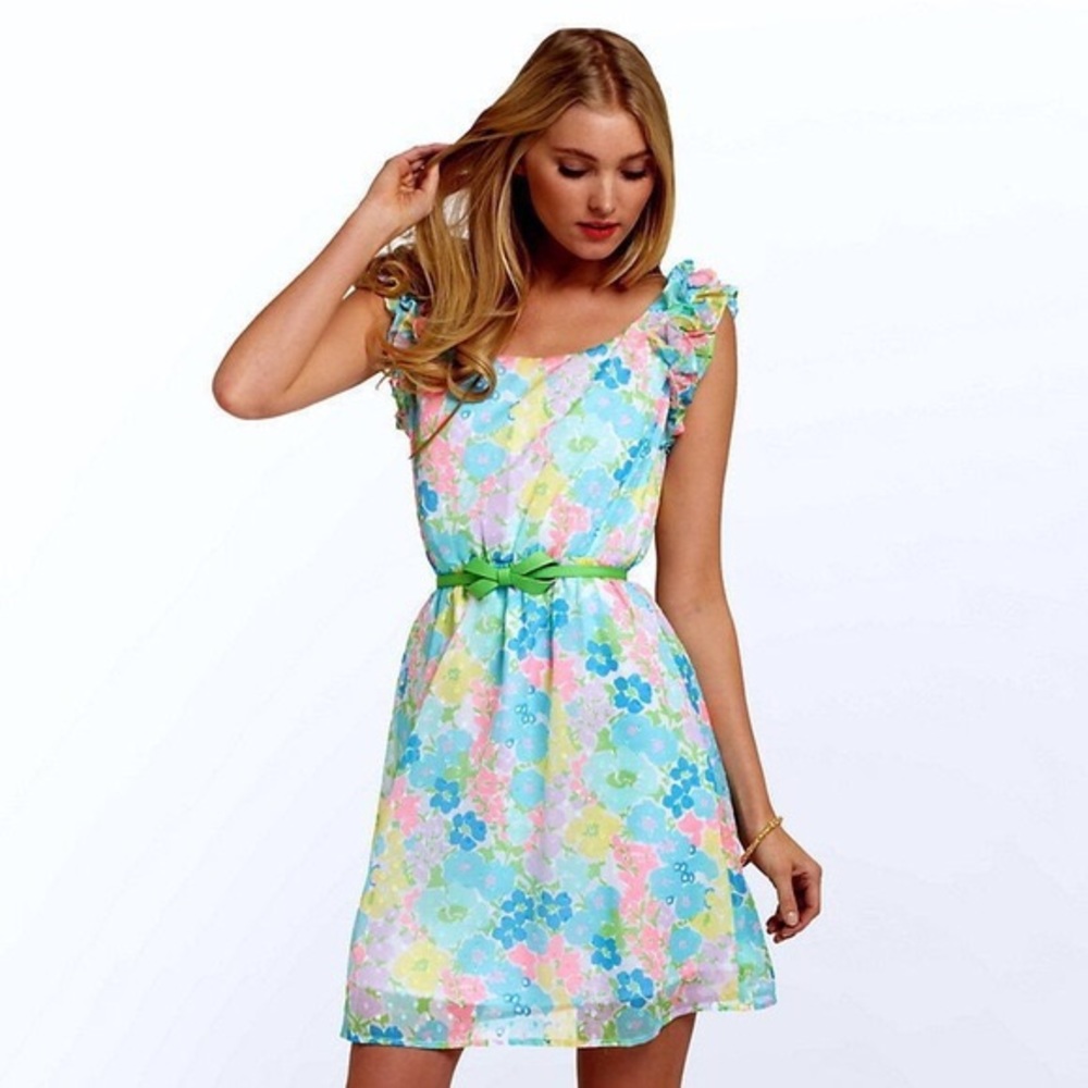 NWT Lilly Pulitzer Danna dress