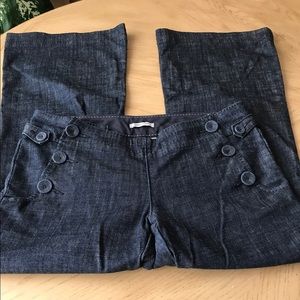 Banana Republic Jeans. Flared Wide Leg.