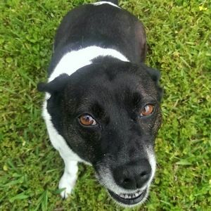 Meet your Posher, Angie