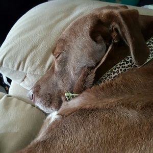 Meet your Posher, Becky