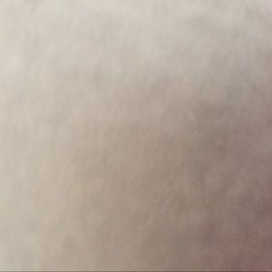 Meet your Posher, Shelby