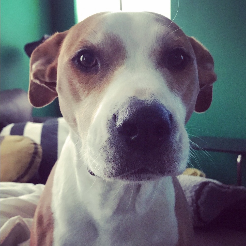 Meet your Posher, Erika