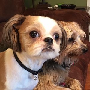 Meet your Posher, Debbie