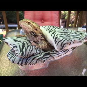 Accessories Bearded Dragon Large Attachable Animal Print Bed