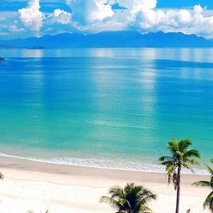 Meet your Posher, Tarren