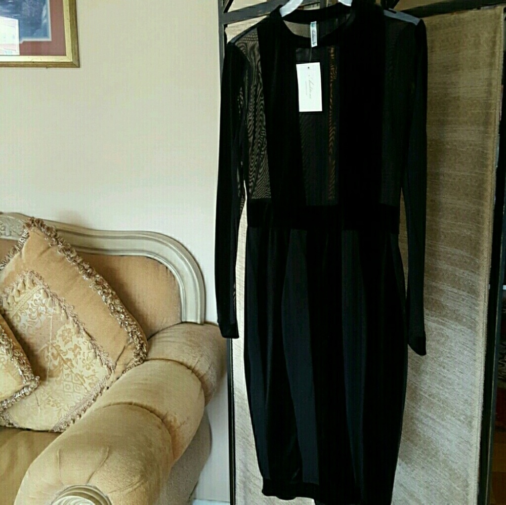 Sexy velvet  striped Mesh black Dress