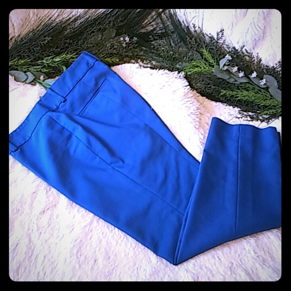 Ann Taylor Ankle pants