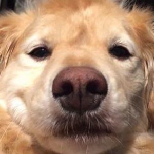 Meet your Posher, Tristan