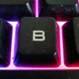 Meet your Posher, George