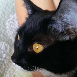 Meet your Posher, Ava