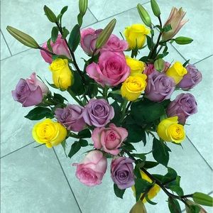 Meet your Posher, Paula