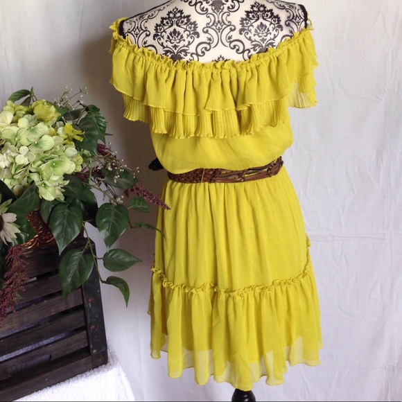 Adorable Gianni Bini Off Shoulder Chiffon Dress - Picture 4 of 4