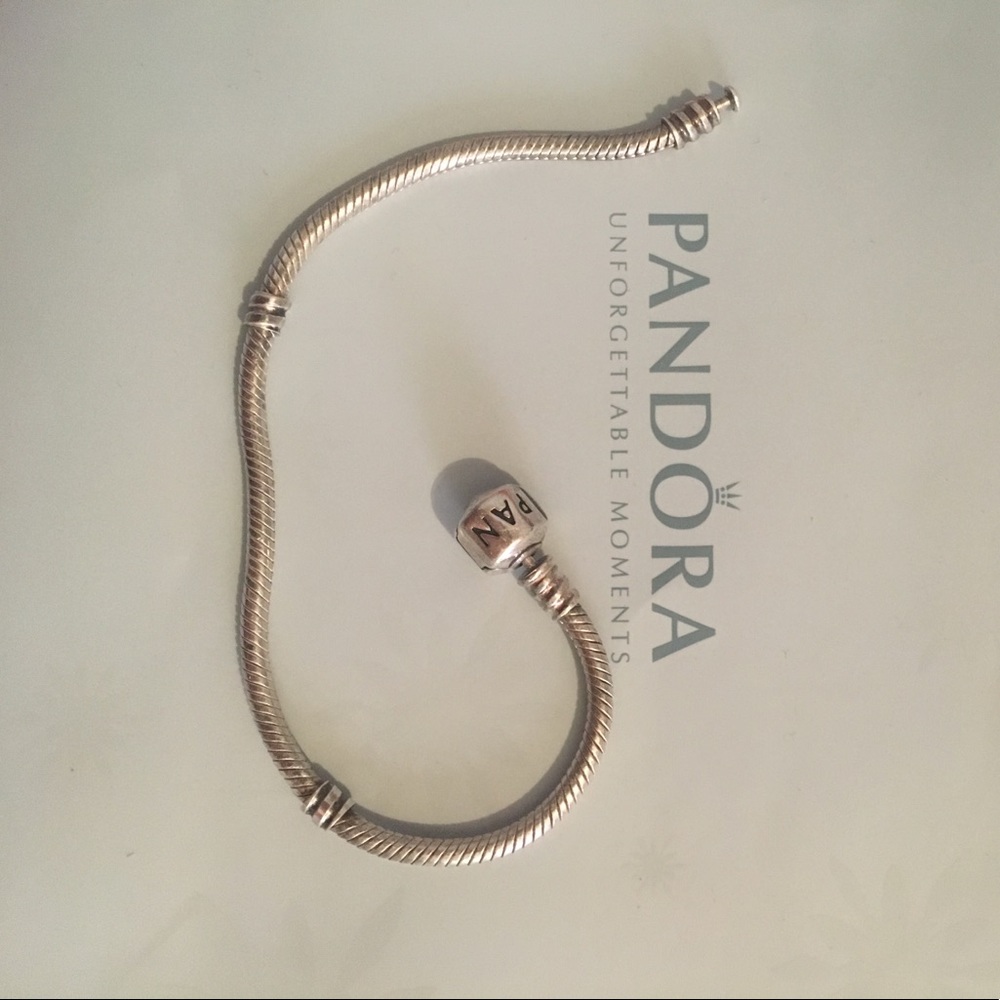 Pandora Charm Bracelet
