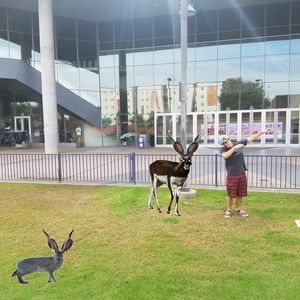 Meet your Posher, Nikolai