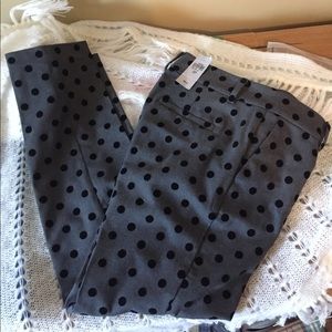Anne Taylor Polka Dot crops