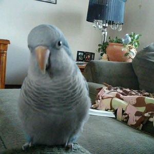 Meet your Posher, Jenn