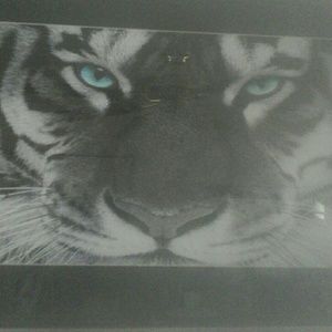 Meet your Posher, Donnadeleak