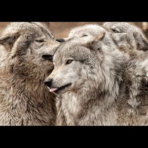 Meet your Posher, Andy